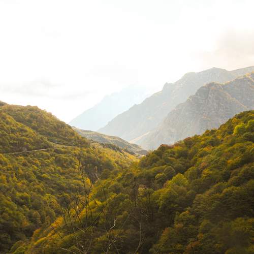 Photo #10097951