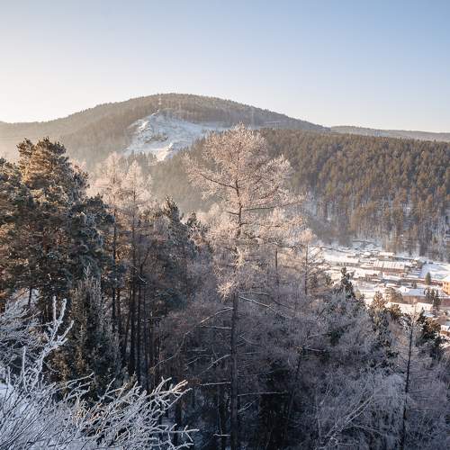 Snowy mountain forest