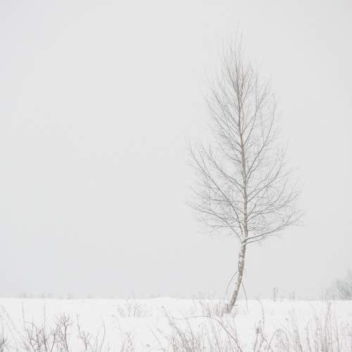 Photo #10098529