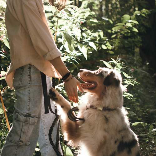 Photo #10098956