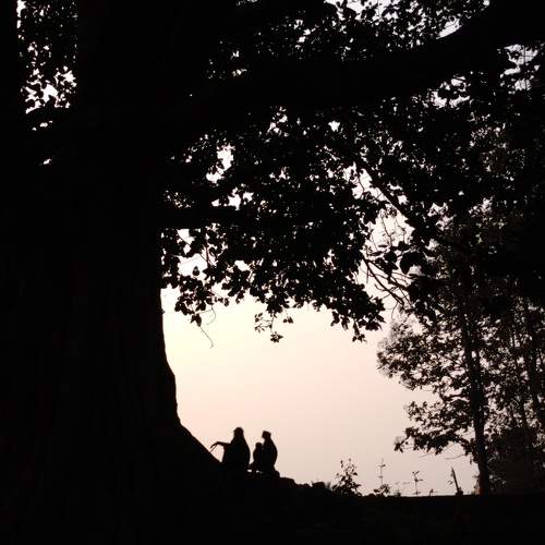 Photo #10099185