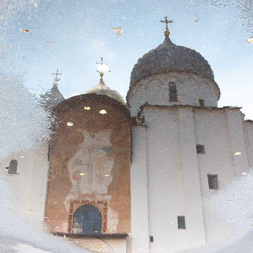 Photo #10099219