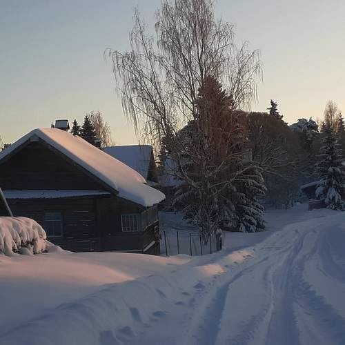 Photo #10099433