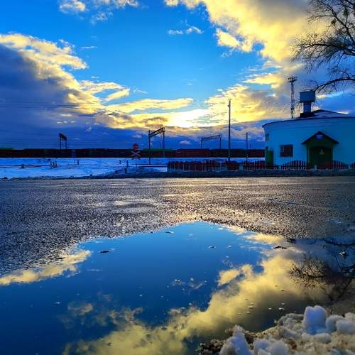 Photo #10099499