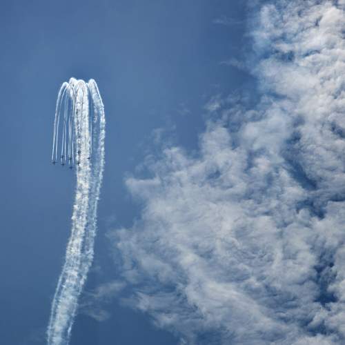 Photo #10099635