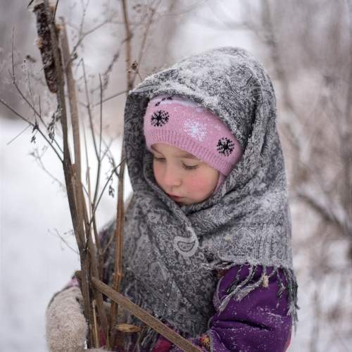 Photo #10099692