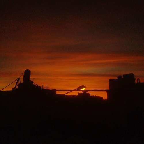Photo #10099879