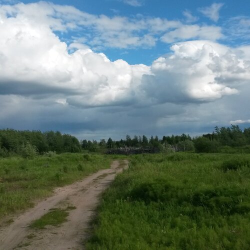 Тропа