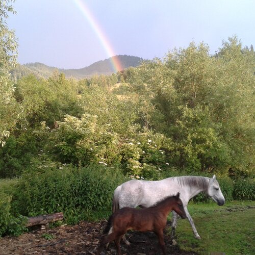 Photo #1010875