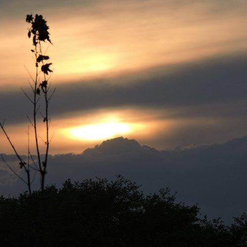 Photo #1012987
