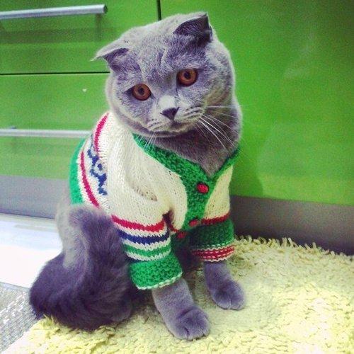 Photo #1014123