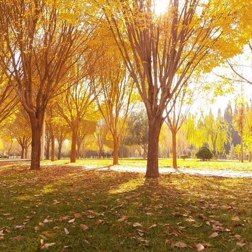 Photo #10100011