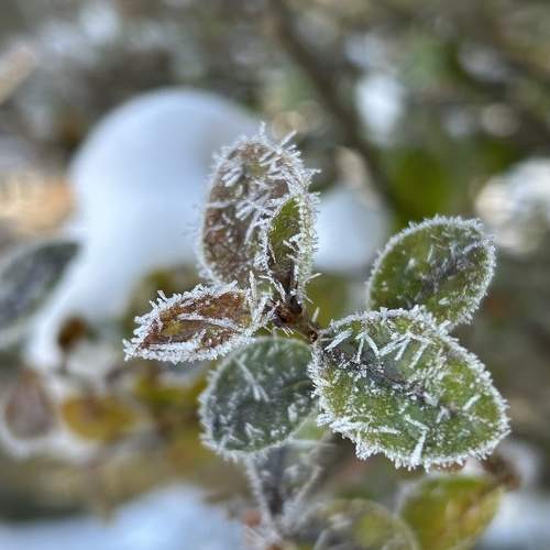 Photo #10100430