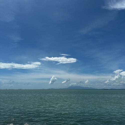 Photo #10100528