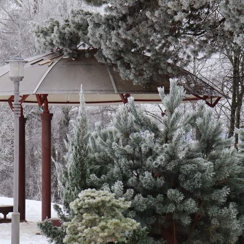 Photo #10100678