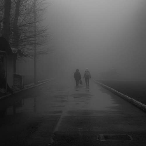 Фотография #10100757