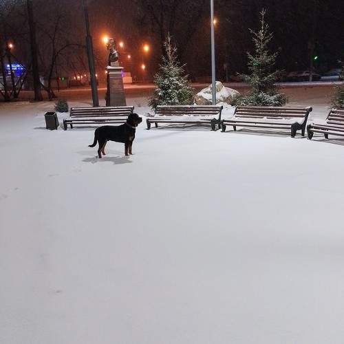 Photo #10100863