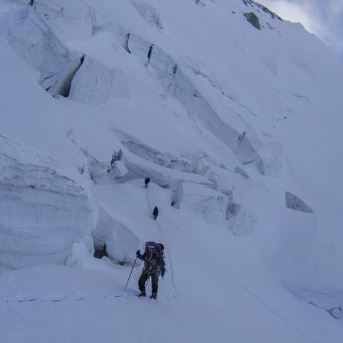Photo #10100975