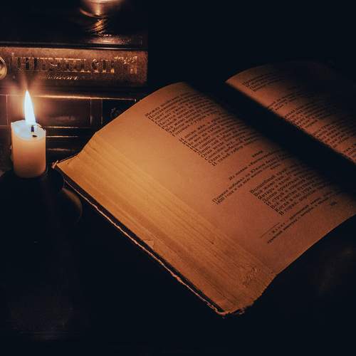 Photo #10100982