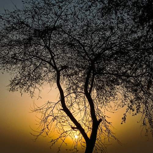 Photo #10101556