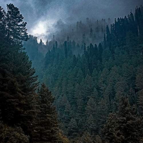 Photo #10101563