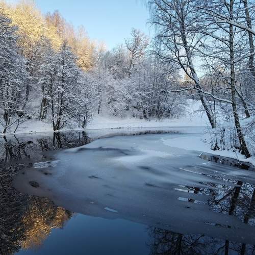 Photo #10101691