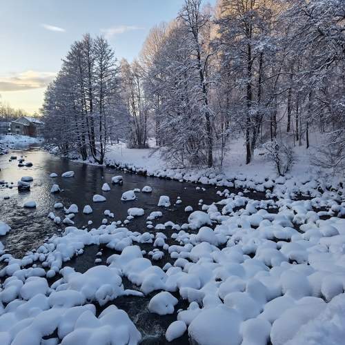 Photo #10101701