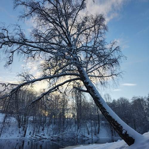 Photo #10101713