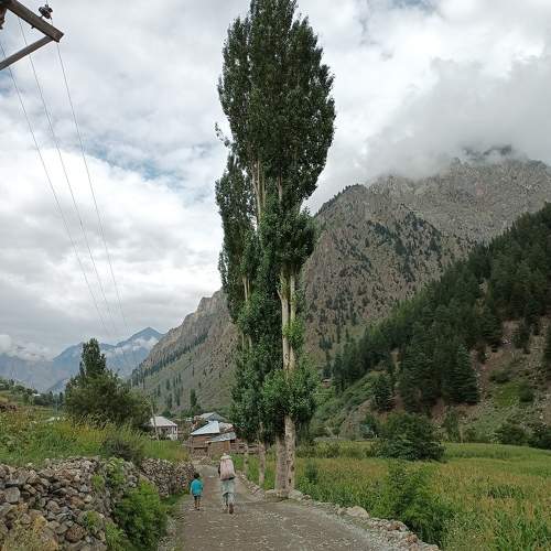 Photo #10101969