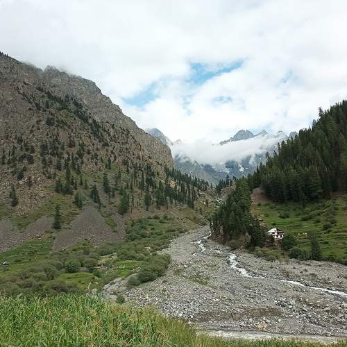 Photo #10101970