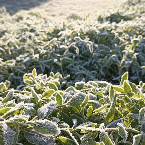 Photo #10102281