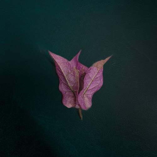 Photo #10102361