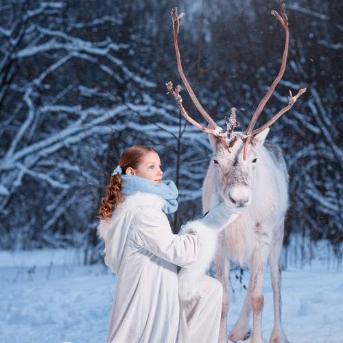 Photo #10102412