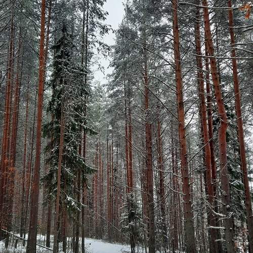 Photo #10102970