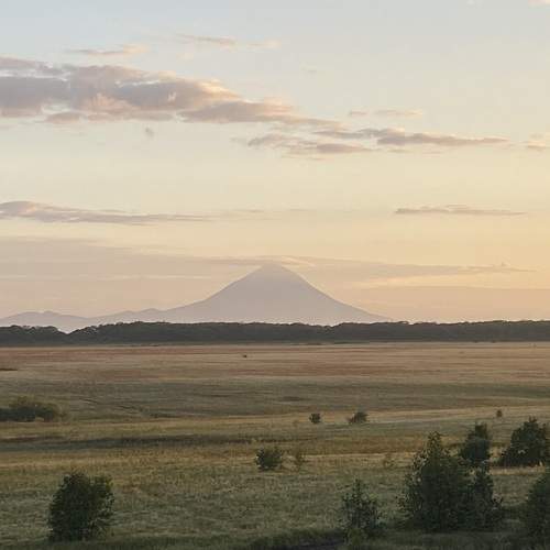 Photo #10103003