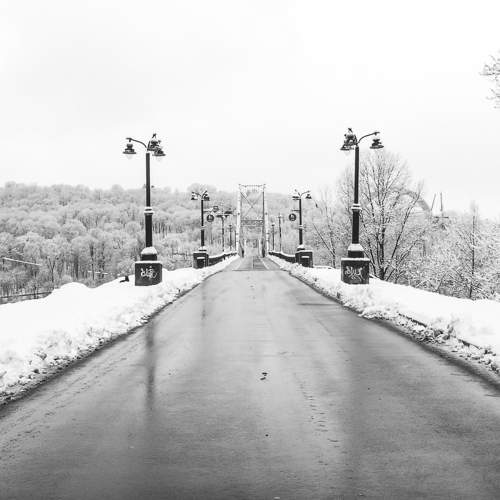 Photo #10103244