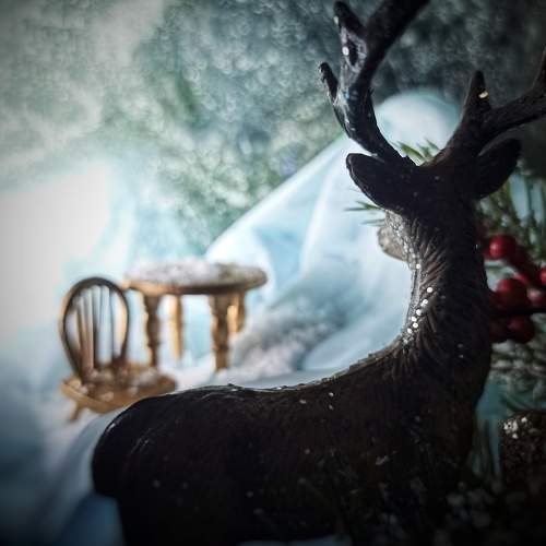 Photo #10103531