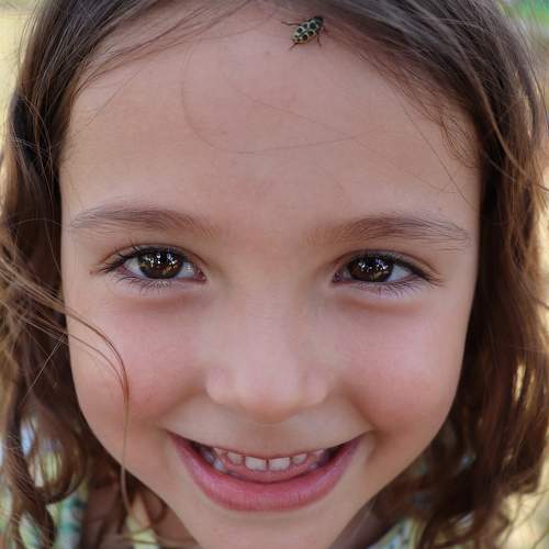 Photo #10103681