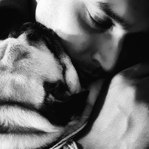 Photo #10104271