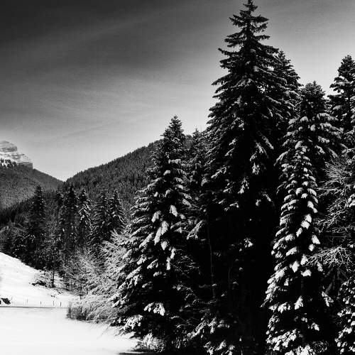 Photo #10104283