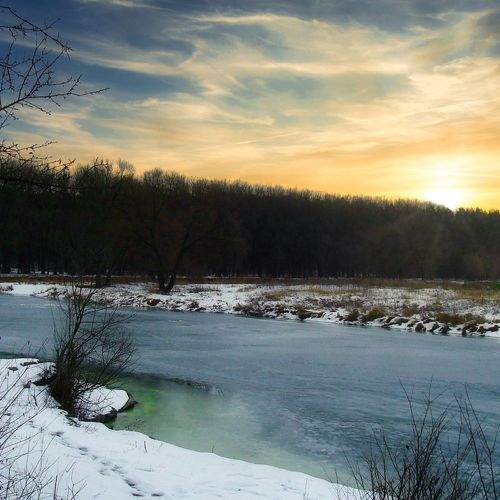 Photo #10104455