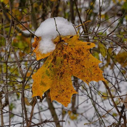 Photo #10104812