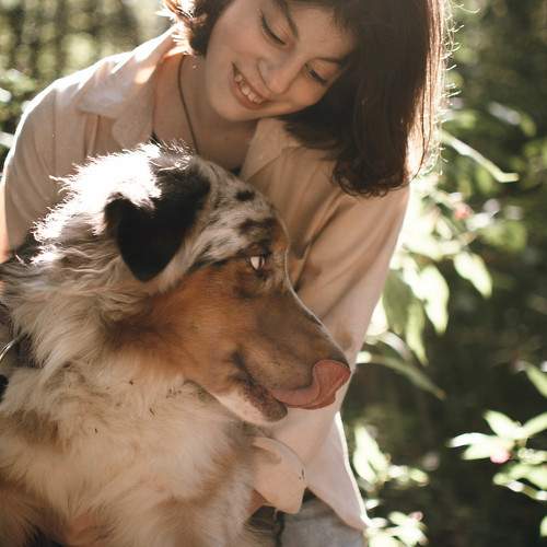 Photo #10105246