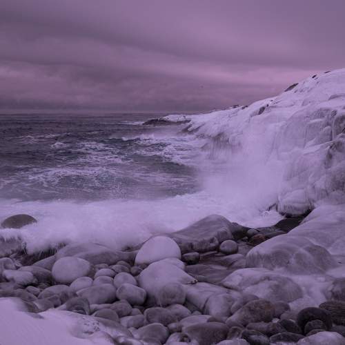 Photo #10105455