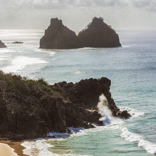 Photo #10105727