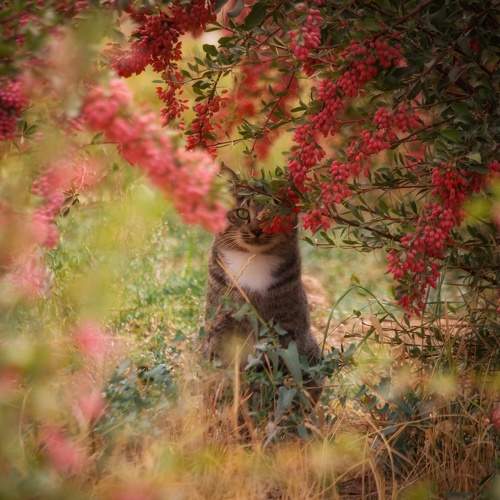 Photo #10105797