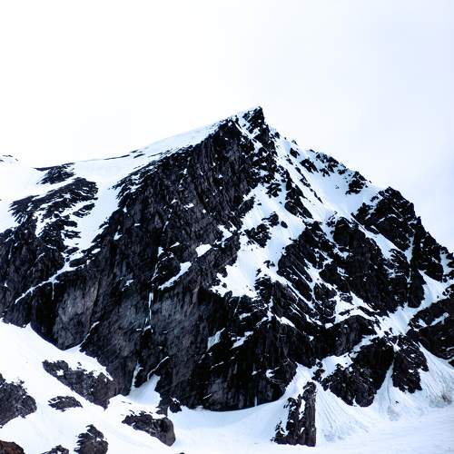 Photo #10106118