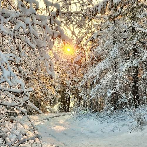 Photo #10106745