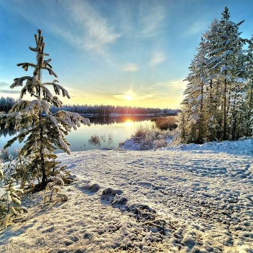 Photo #10106746