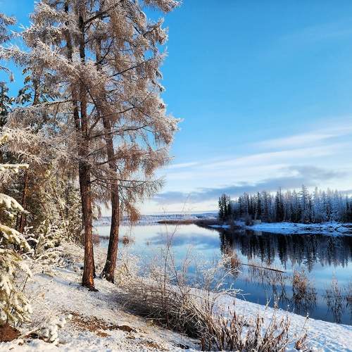 Photo #10106747